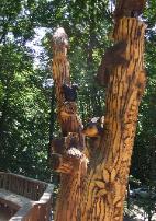 Pentwater Michigan tree scuplture