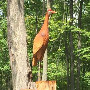 Sandhill Crane wood sculpture from Michigan chainsaw carver Jim Barnes